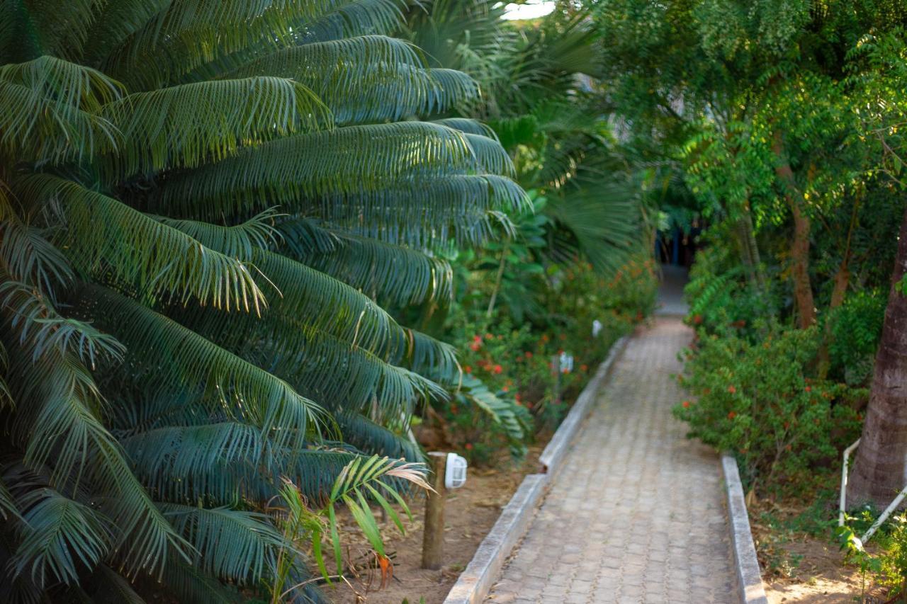 Pousada Vivenda Da Terra Hotel Sao Miguel do Gostoso Exterior photo